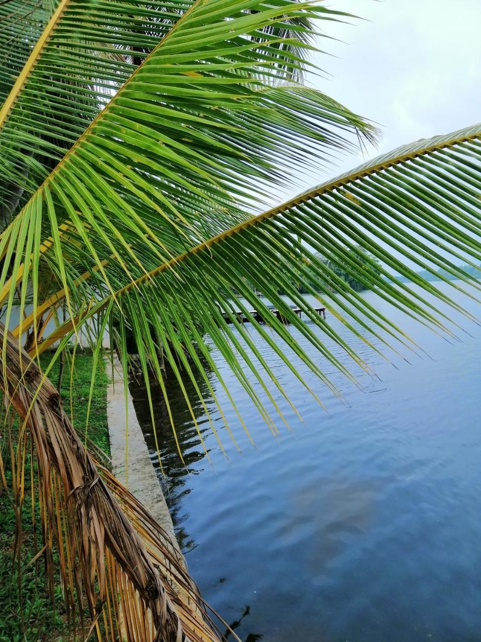 Hikka Lagoon Hikkaduwa Εξωτερικό φωτογραφία